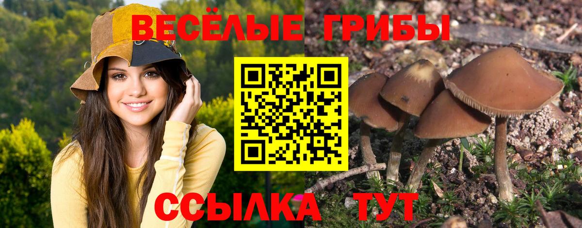 Псилоцибиновые грибы Magic Shrooms  Вход с VPN  Прохладный  Галлюциногенные грибы мицелий 